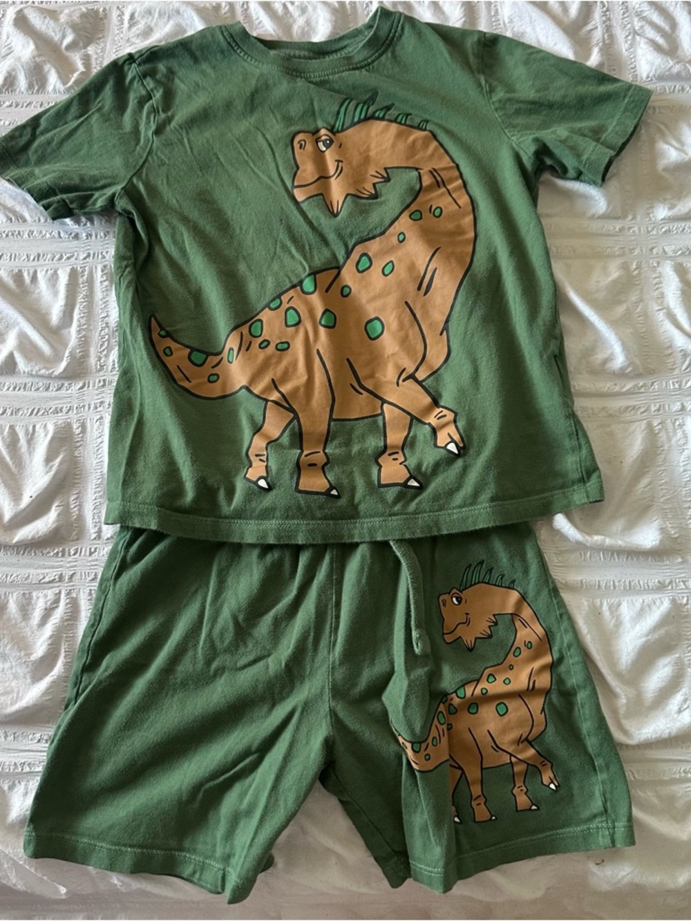 H&M Boys Dino Outfit Size 6T